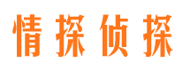 蕉城侦探公司